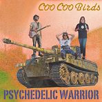 Psychedelic Warrior
